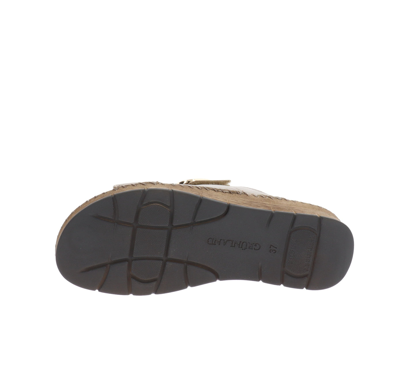 CI3102-36Tortora,CI3102-37Tortora,CI3102-38Tortora,CI3102-39Tortora,CI3102-40Tortora