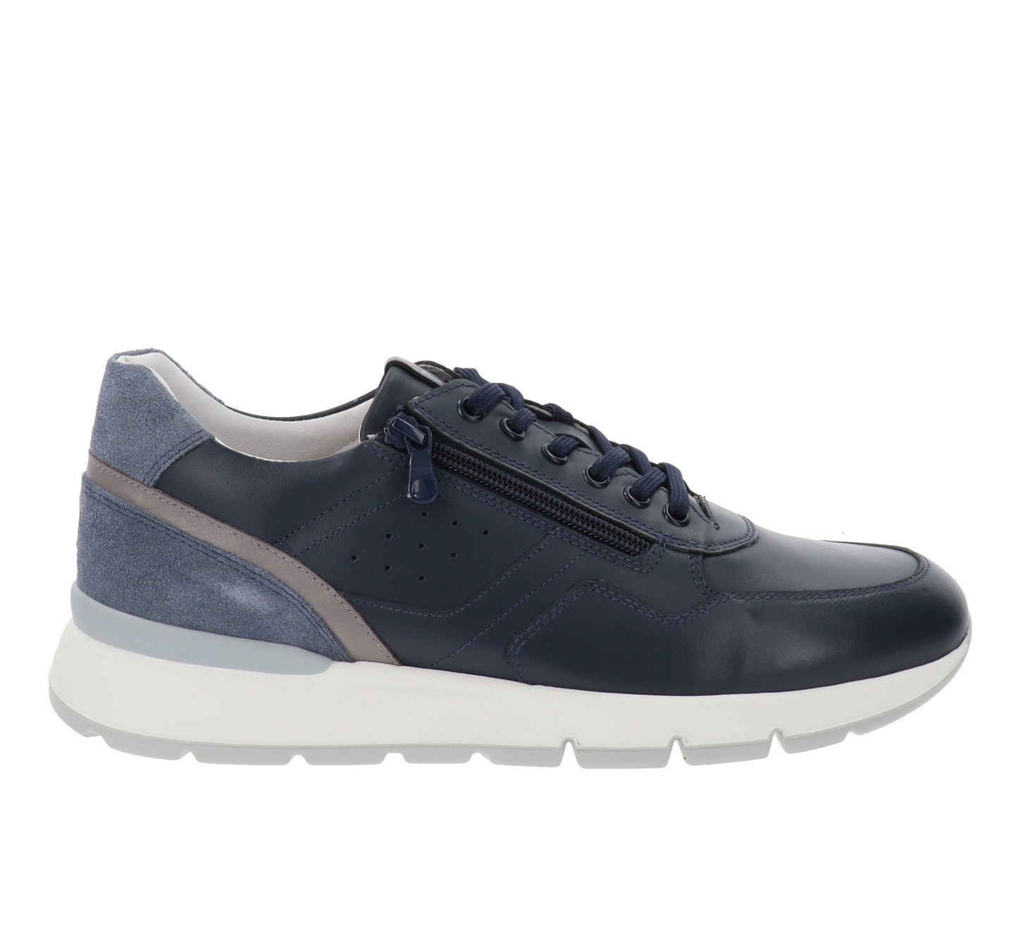 E500650U-39Blu,E500650U-40Blu,E500650U-41Blu,E500650U-42Blu,E500650U-43Blu,E500650U-44Blu,E500650U-45Blu,E500650U-46Blu
