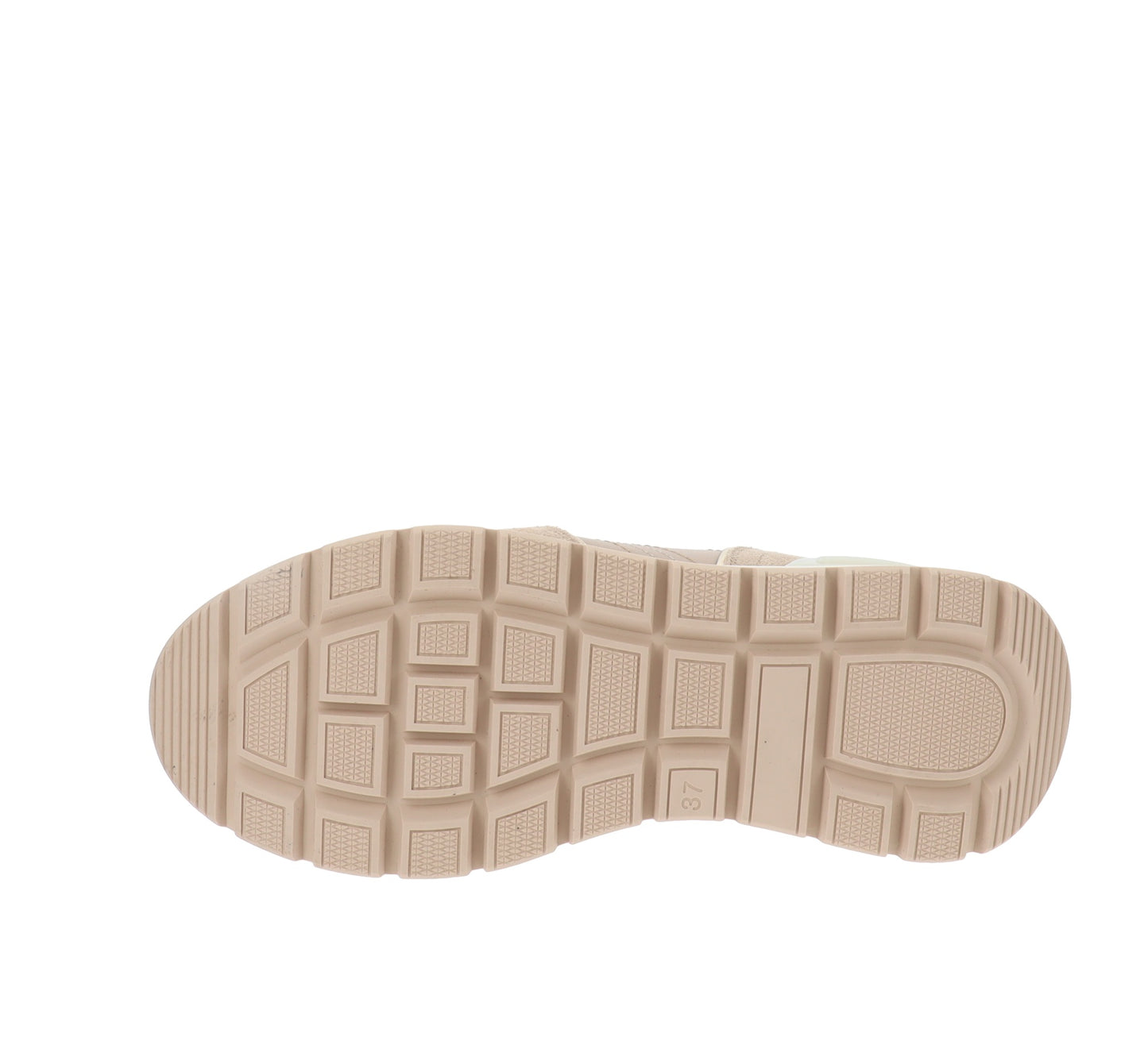 K11232-36Tortora,K11232-37Tortora,K11232-38Tortora,K11232-39Tortora,K11232-40Tortora