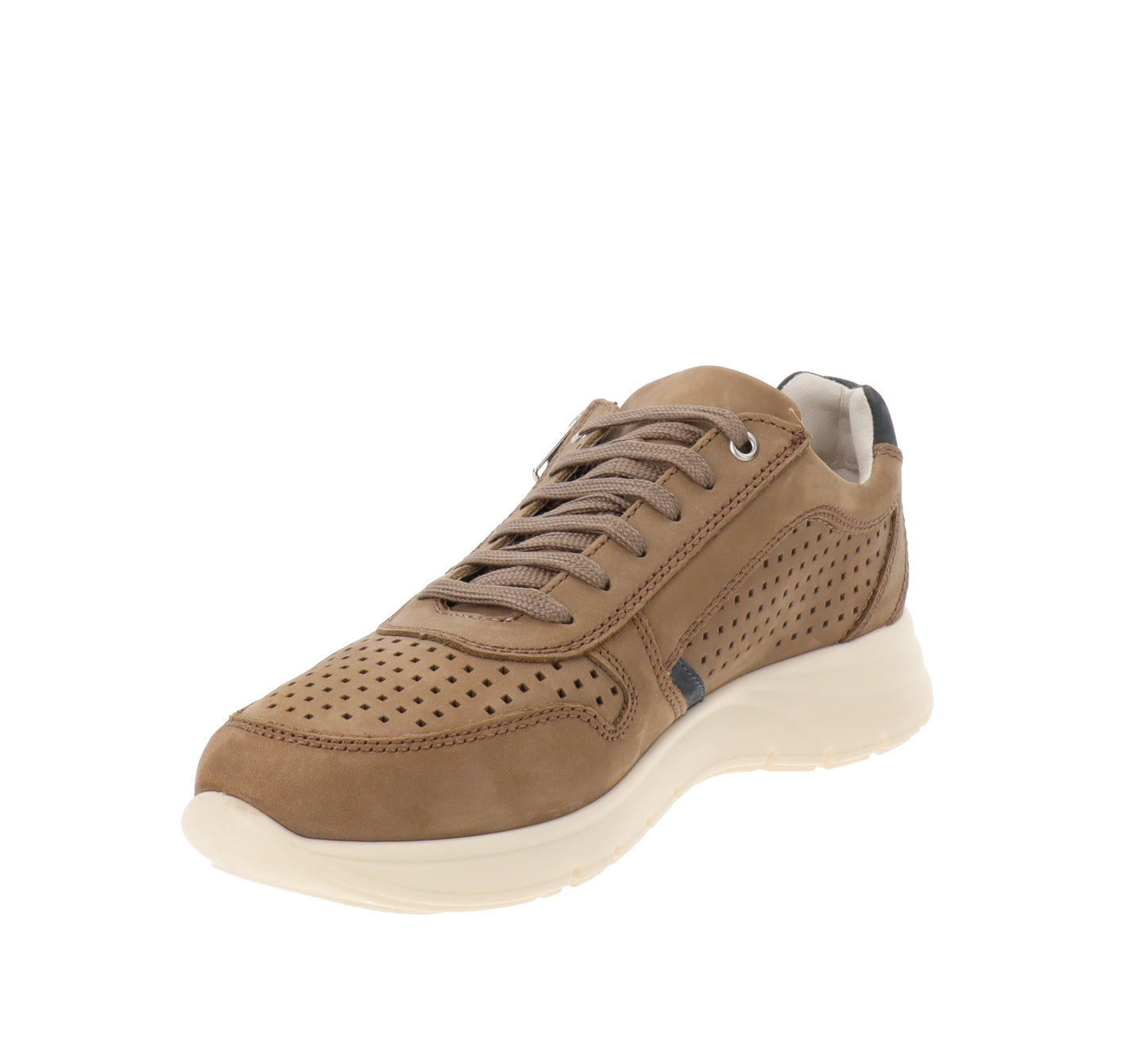 VV360832-39Cuoio,VV360832-40Cuoio,VV360832-41Cuoio,VV360832-42Cuoio,VV360832-43Cuoio,VV360832-44Cuoio,VV360832-45Cuoio,VV360832-46Cuoio