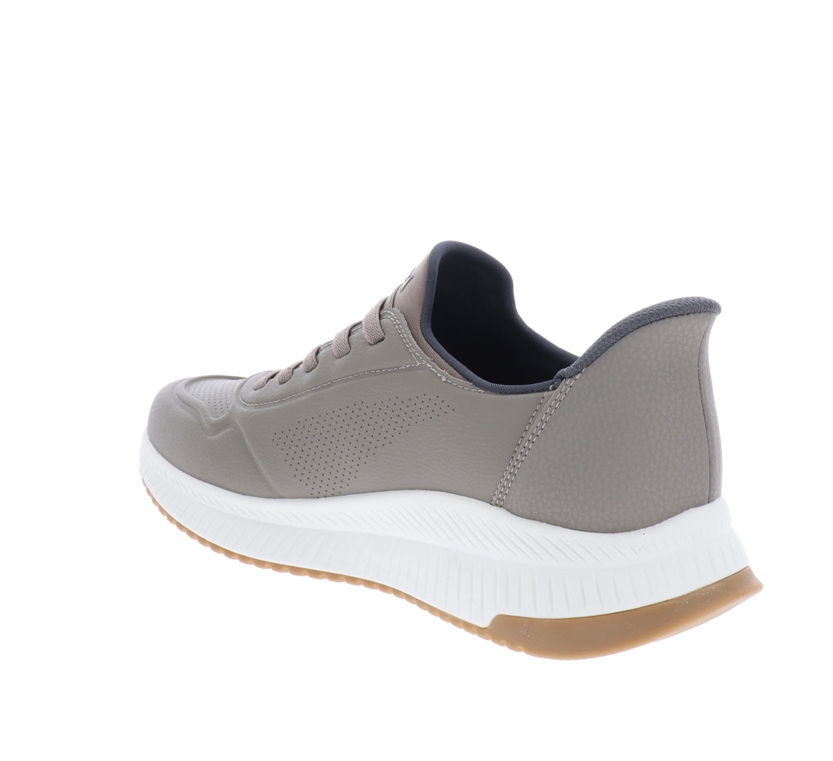 118424-40Tortora,118424-41Tortora,118424-42Tortora,118424-43Tortora,118424-44Tortora,118424-45Tortora