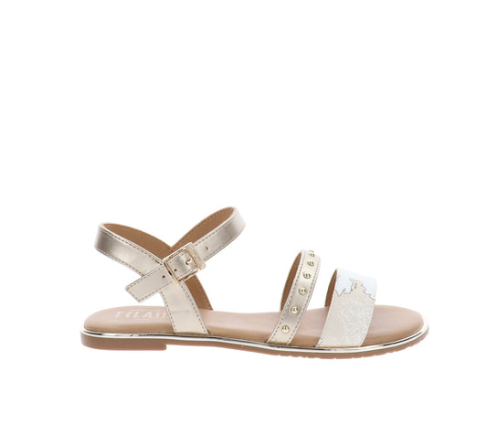 24530371-35Oro,24530371-36Oro,24530371-37Oro,24530371-38Oro,24530371-39Oro,24530371-40Oro