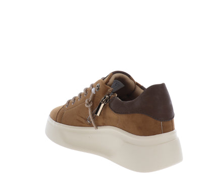 X356-35Cuoio,X356-36Cuoio,X356-37Cuoio,X356-38Cuoio,X356-39Cuoio,X356-40Cuoio,X356-41Cuoio