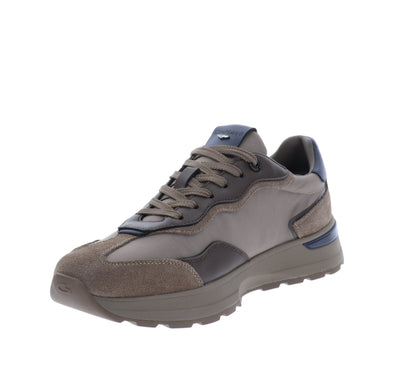 GM62004A-40Tortora,GM62004A-41Tortora,GM62004A-42Tortora,GM62004A-43Tortora,GM62004A-44Tortora