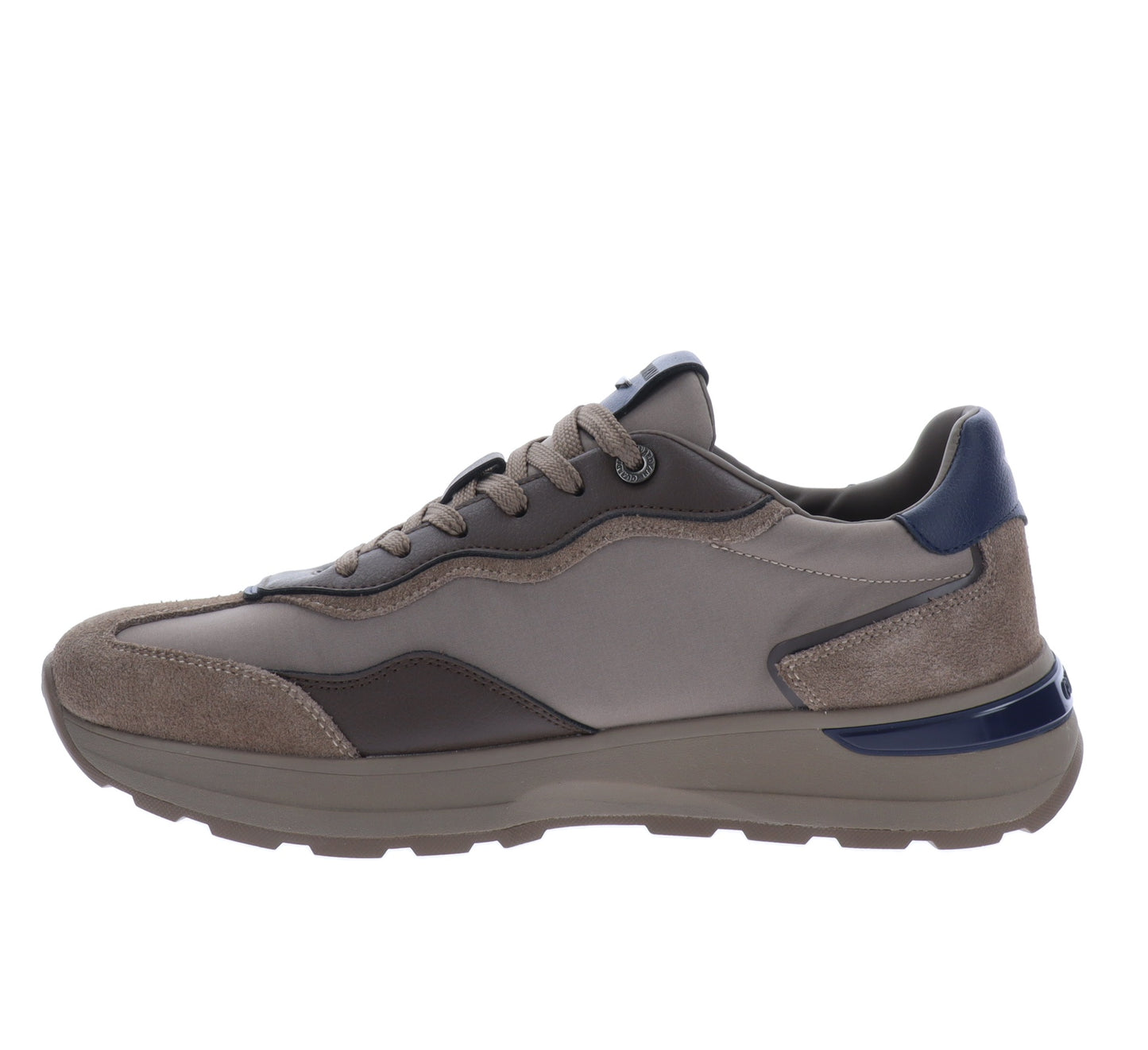 GM62004A-40Tortora,GM62004A-41Tortora,GM62004A-42Tortora,GM62004A-43Tortora,GM62004A-44Tortora
