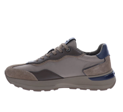 GM62004A-40Tortora,GM62004A-41Tortora,GM62004A-42Tortora,GM62004A-43Tortora,GM62004A-44Tortora