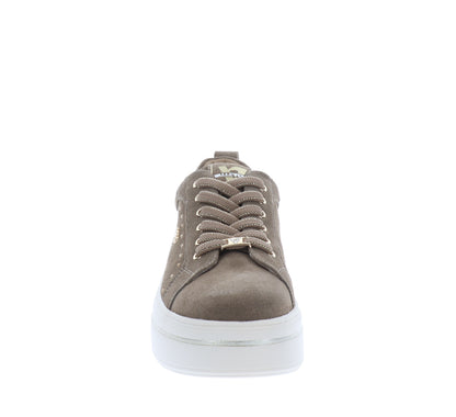 V35451-35Tortora,V35451-36Tortora,V35451-37Tortora,V35451-38Tortora,V35451-39Tortora,V35451-40Tortora,V35451-41Tortora