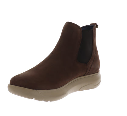 CH66703-40Marrone,CH66703-41Marrone,CH66703-42Marrone,CH66703-43Marrone,CH66703-44Marrone