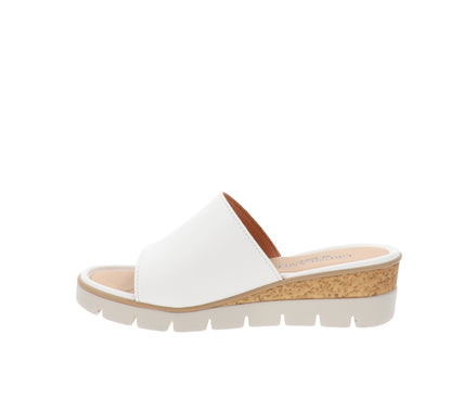 CI9897-36Bianco,CI9897-37Bianco,CI9897-38Bianco,CI9897-39Bianco,CI9897-40Bianco