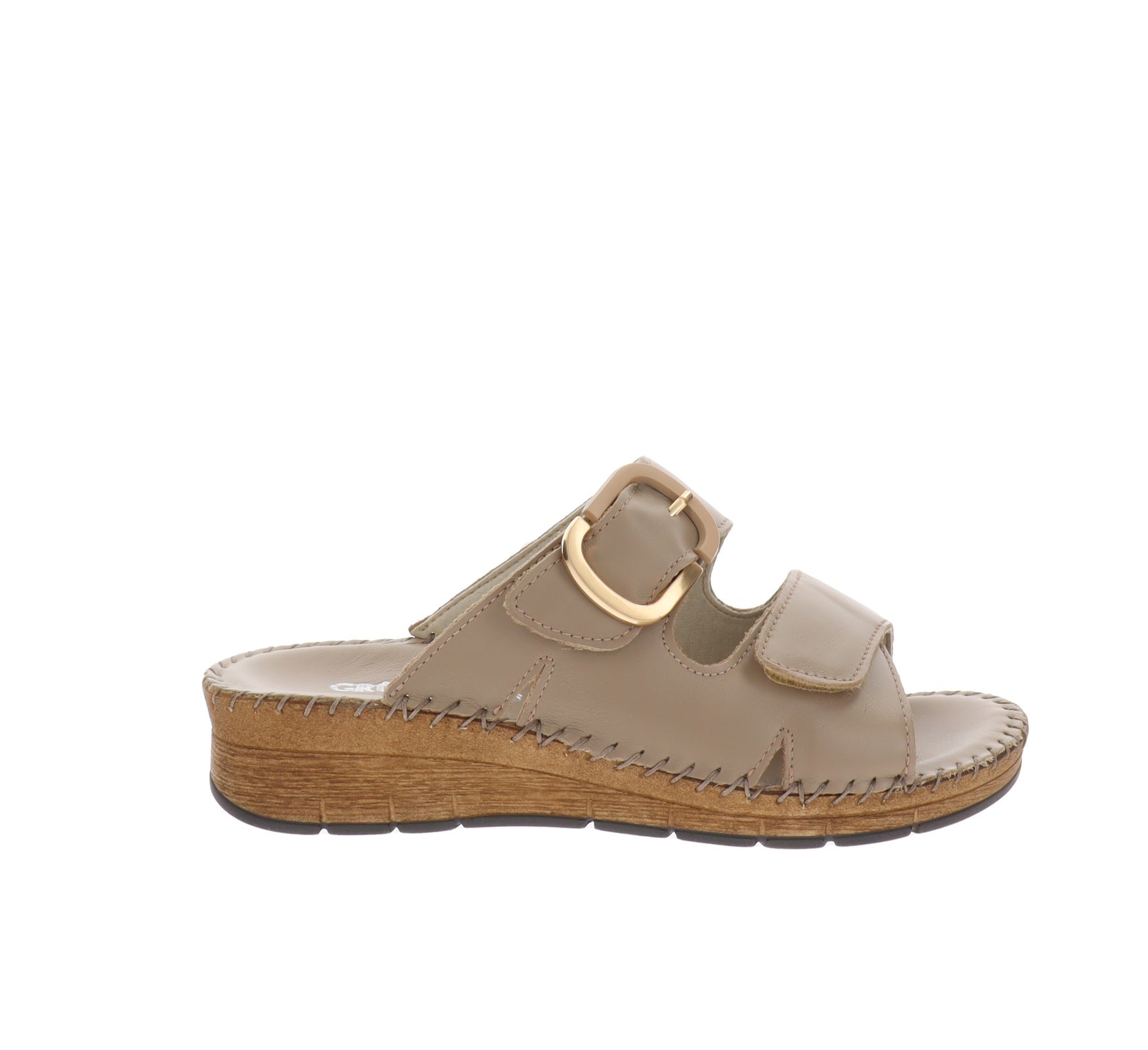 CI3102-36Tortora,CI3102-37Tortora,CI3102-38Tortora,CI3102-39Tortora,CI3102-40Tortora