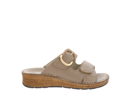 CI3102-36Tortora,CI3102-37Tortora,CI3102-38Tortora,CI3102-39Tortora,CI3102-40Tortora