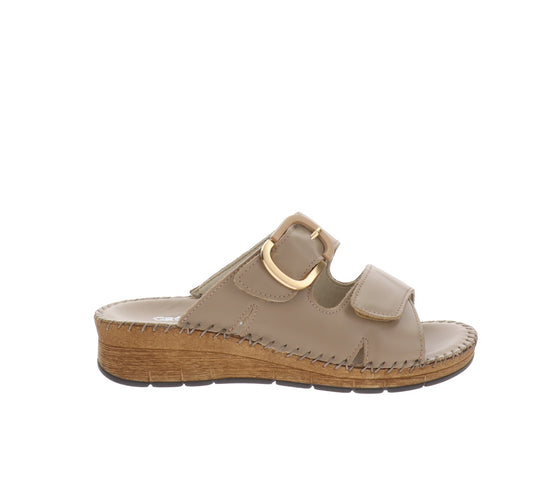 CI3102-36Tortora,CI3102-37Tortora,CI3102-38Tortora,CI3102-39Tortora,CI3102-40Tortora