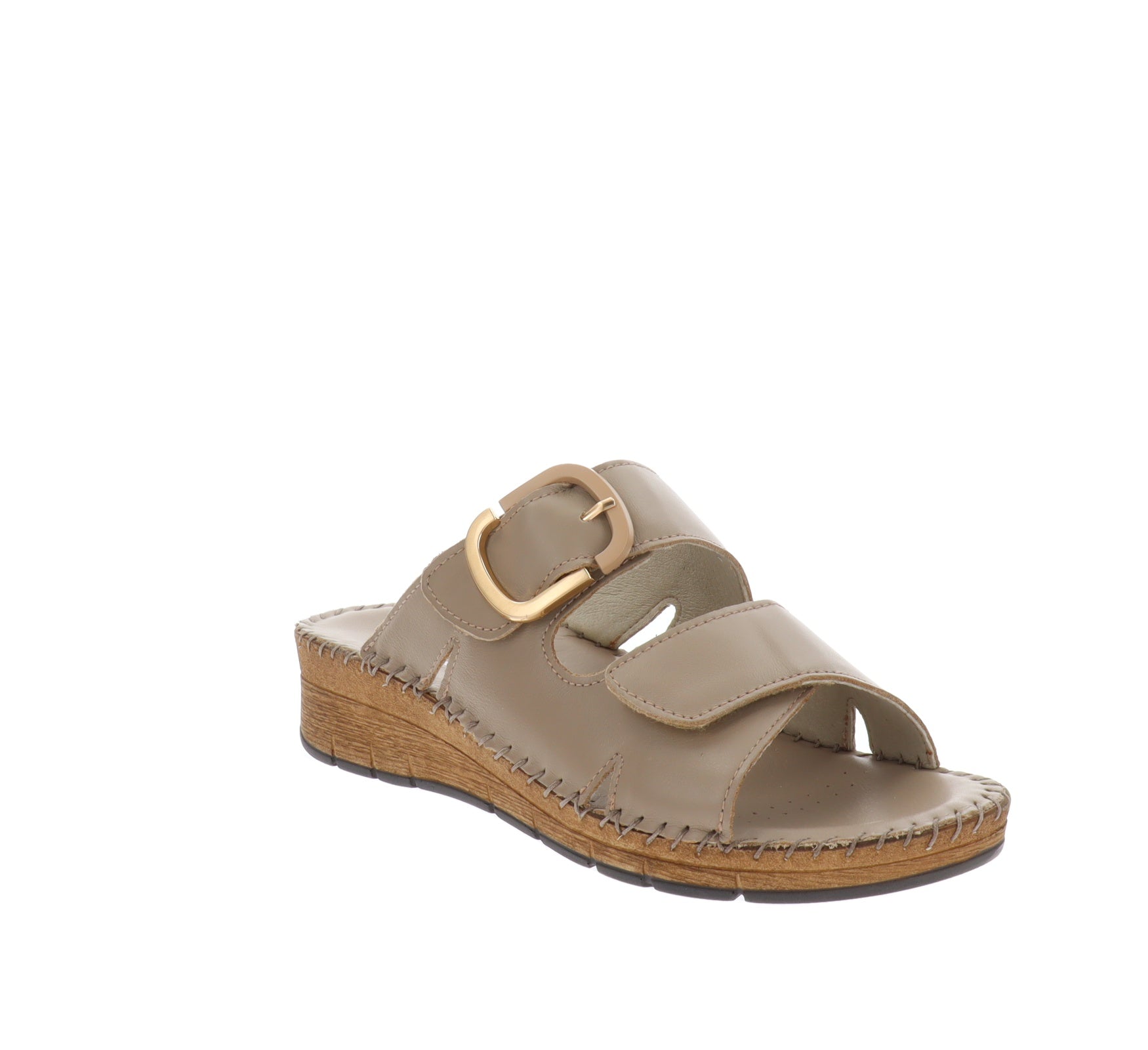 CI3102-36Tortora,CI3102-37Tortora,CI3102-38Tortora,CI3102-39Tortora,CI3102-40Tortora