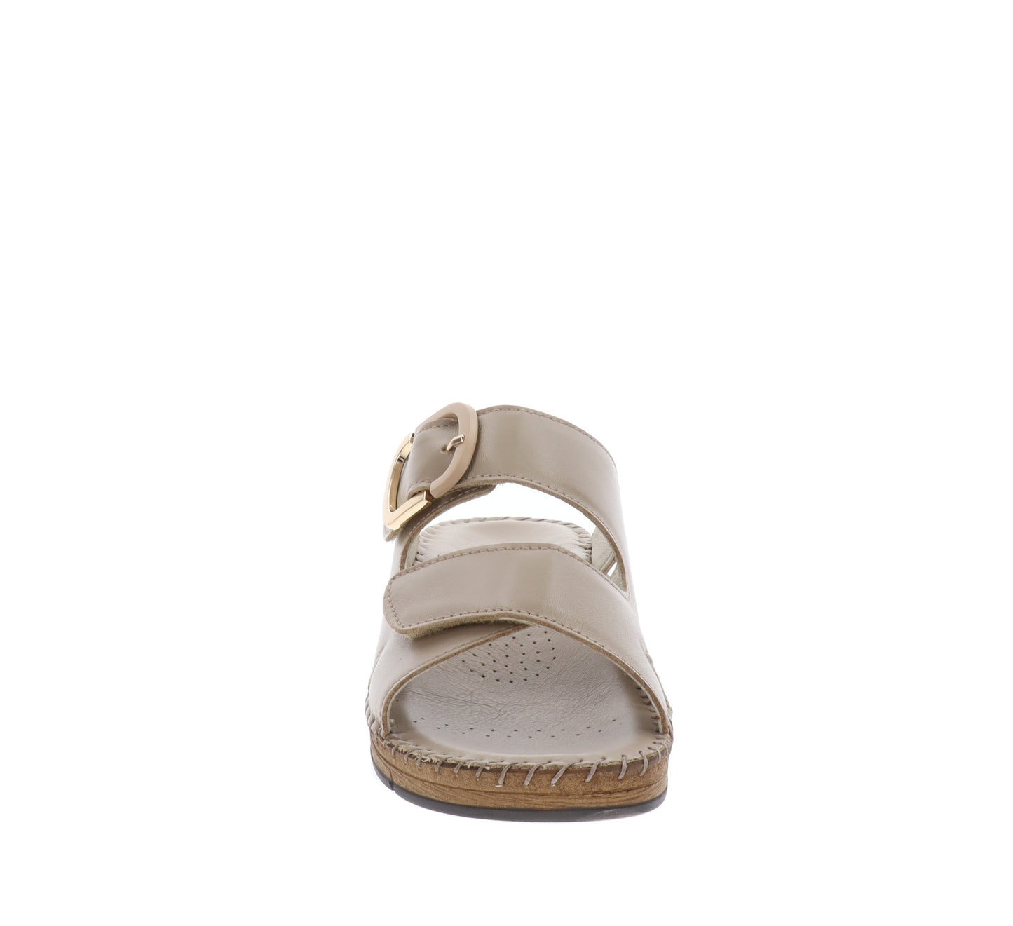 CI3102-36Tortora,CI3102-37Tortora,CI3102-38Tortora,CI3102-39Tortora,CI3102-40Tortora