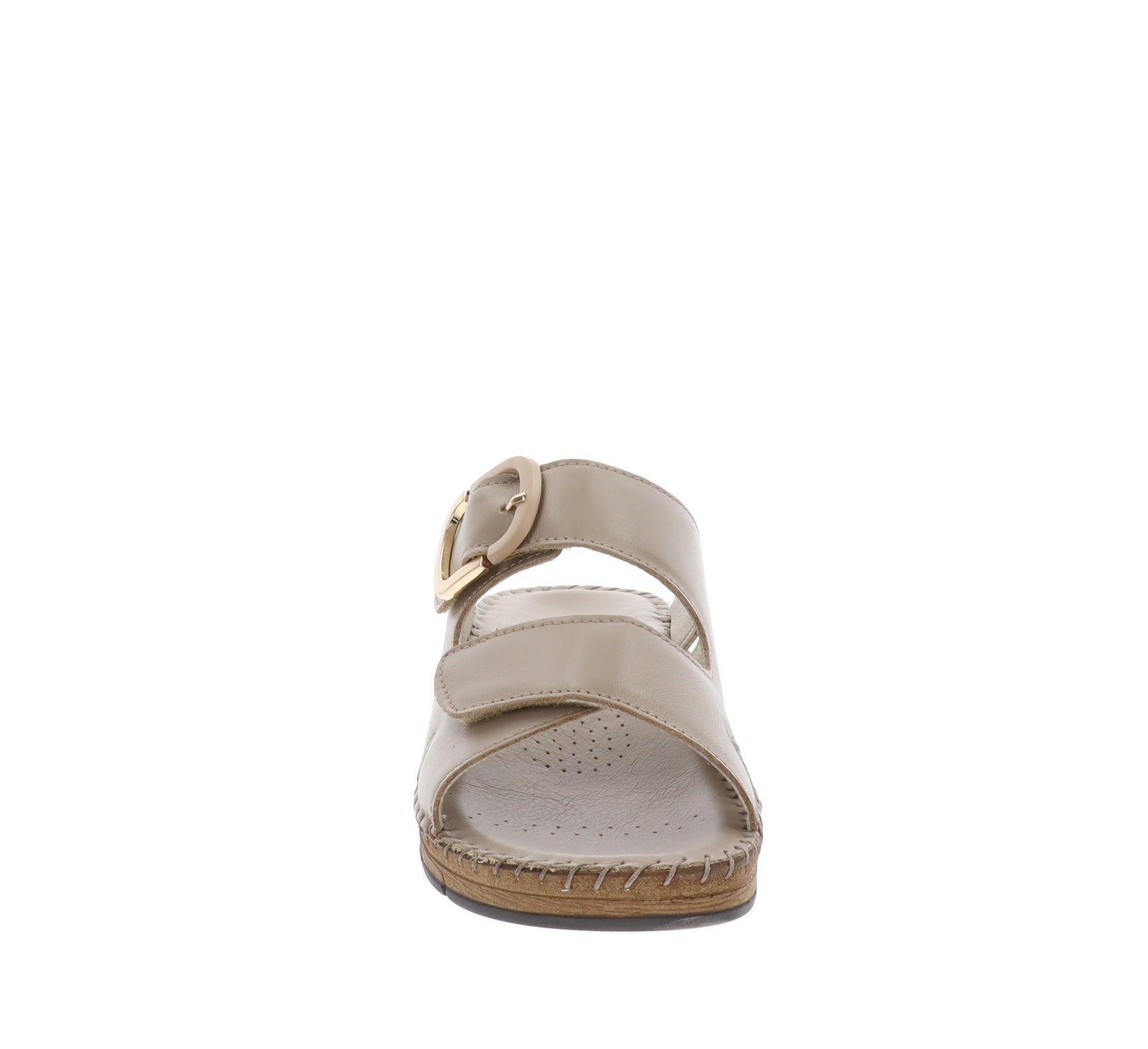 CI3102-36Tortora,CI3102-37Tortora,CI3102-38Tortora,CI3102-39Tortora,CI3102-40Tortora