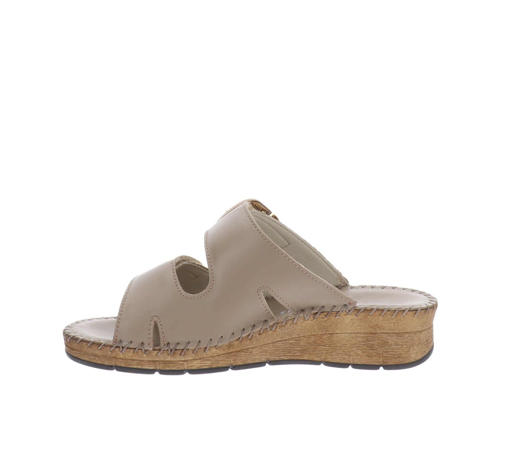 CI3102-36Tortora,CI3102-37Tortora,CI3102-38Tortora,CI3102-39Tortora,CI3102-40Tortora