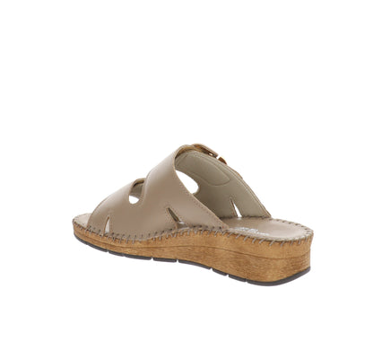 CI3102-36Tortora,CI3102-37Tortora,CI3102-38Tortora,CI3102-39Tortora,CI3102-40Tortora
