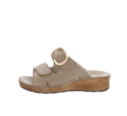 CI3102-36Tortora,CI3102-37Tortora,CI3102-38Tortora,CI3102-39Tortora,CI3102-40Tortora