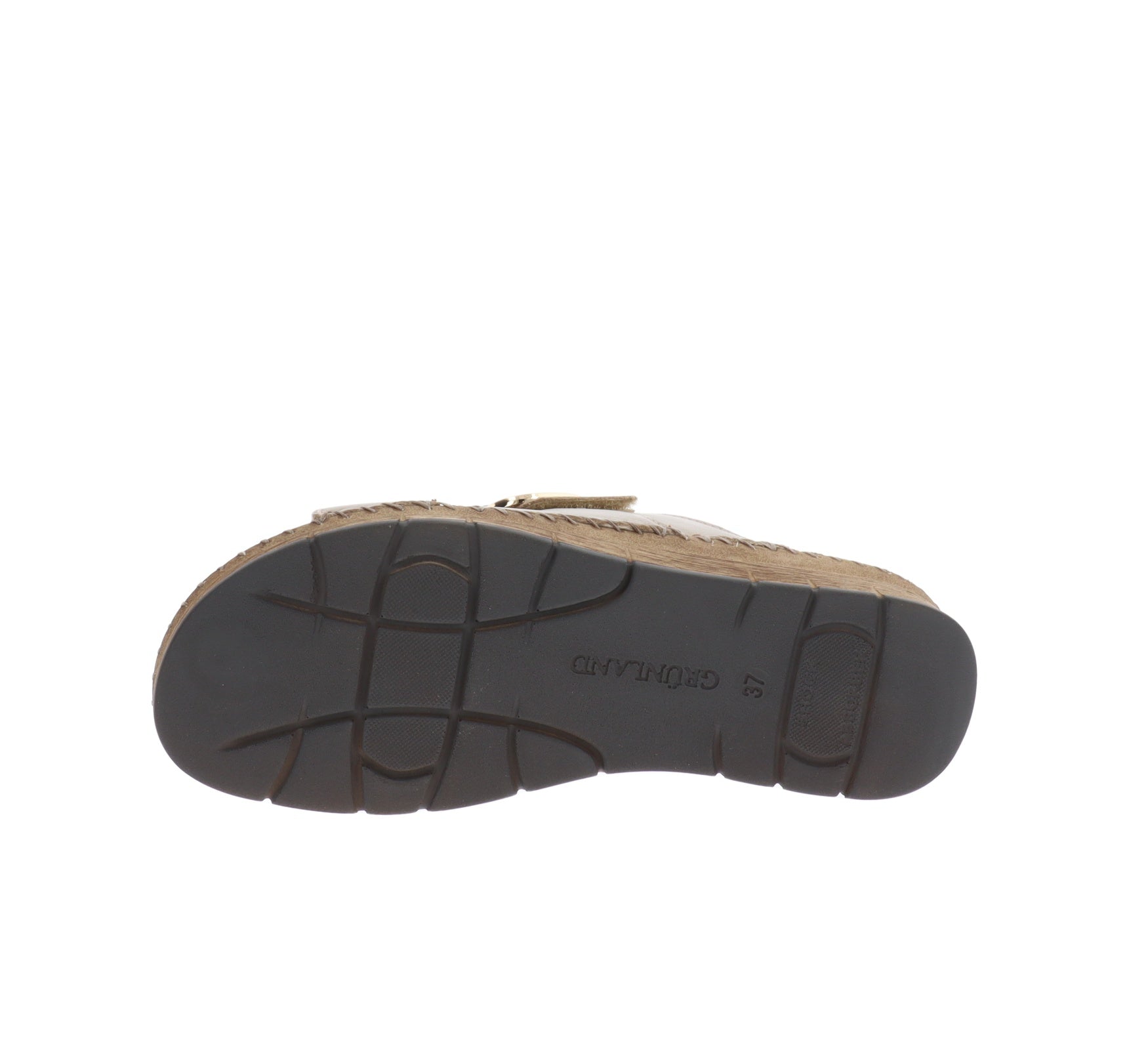 CI3102-36Tortora,CI3102-37Tortora,CI3102-38Tortora,CI3102-39Tortora,CI3102-40Tortora