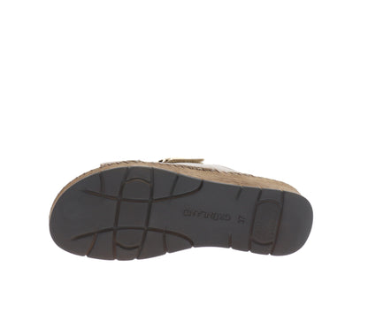 CI3102-36Tortora,CI3102-37Tortora,CI3102-38Tortora,CI3102-39Tortora,CI3102-40Tortora