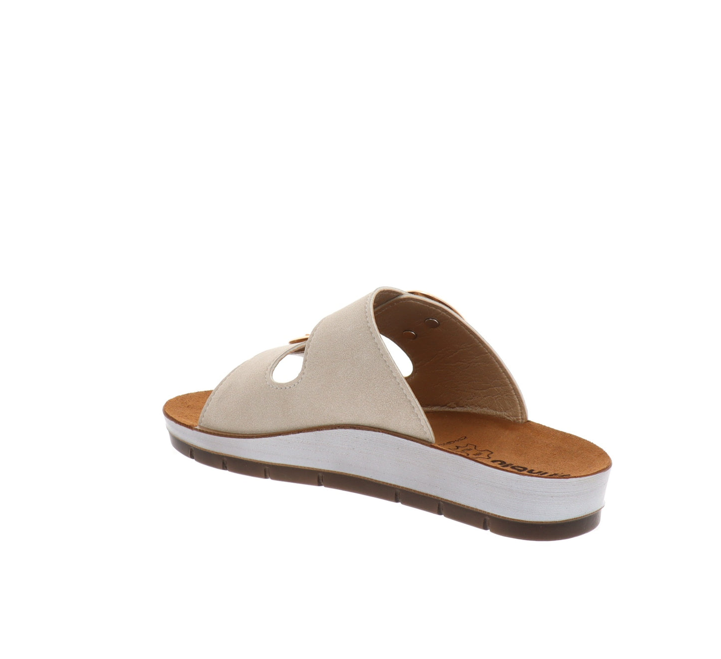 CP000061-35Tortora,CP000061-36Tortora,CP000061-37Tortora,CP000061-38Tortora,CP000061-39Tortora,CP000061-40Tortora,CP000061-41Tortora