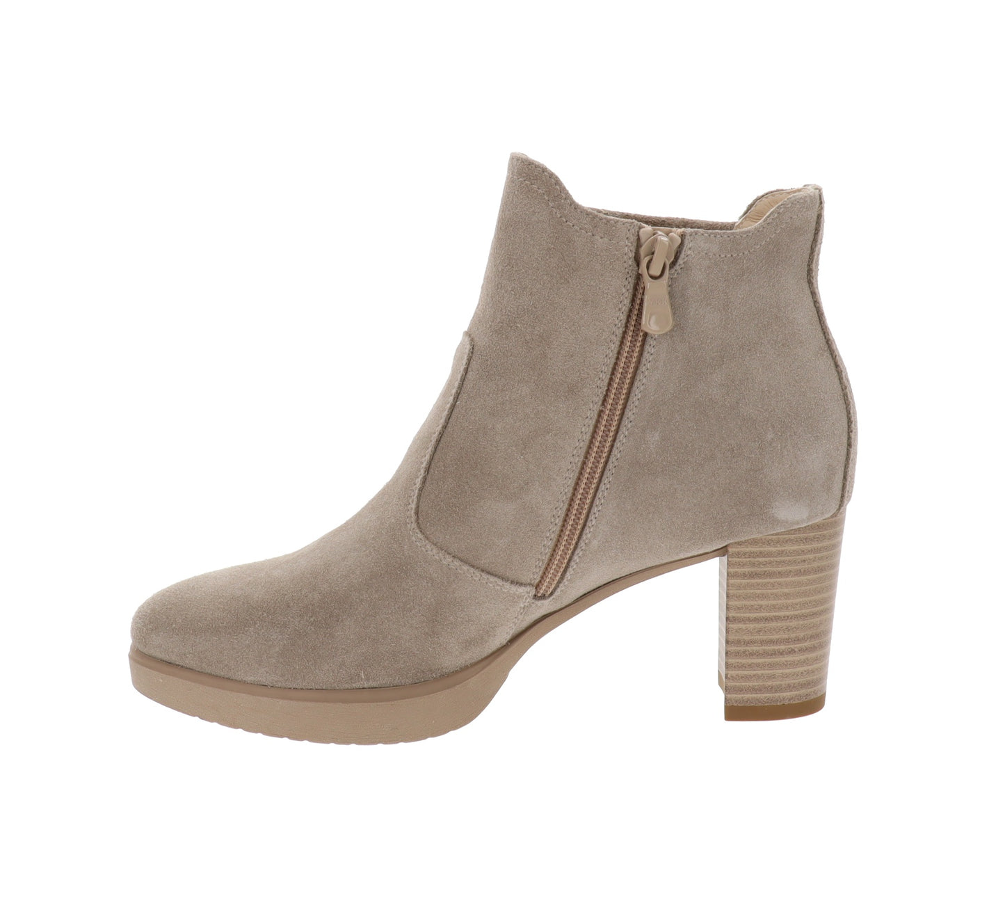 E615081D-35Tortora,E615081D-36Tortora,E615081D-37Tortora,E615081D-38Tortora,E615081D-39Tortora,E615081D-40Tortora,E615081D-41Tortora