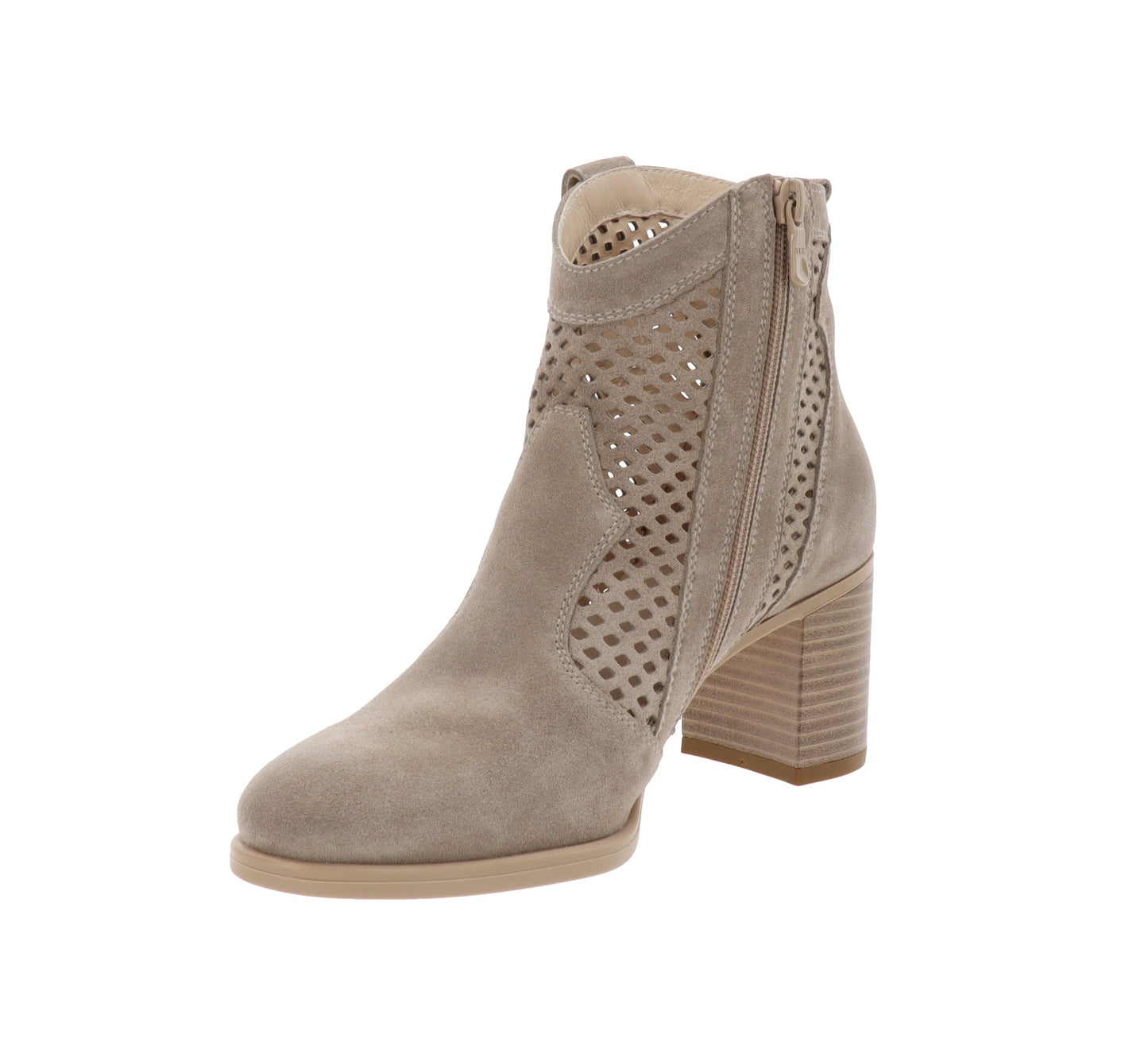 E615110D-35Tortora,E615110D-36Tortora,E615110D-37Tortora,E615110D-38Tortora,E615110D-39Tortora,E615110D-40Tortora,E615110D-41Tortora