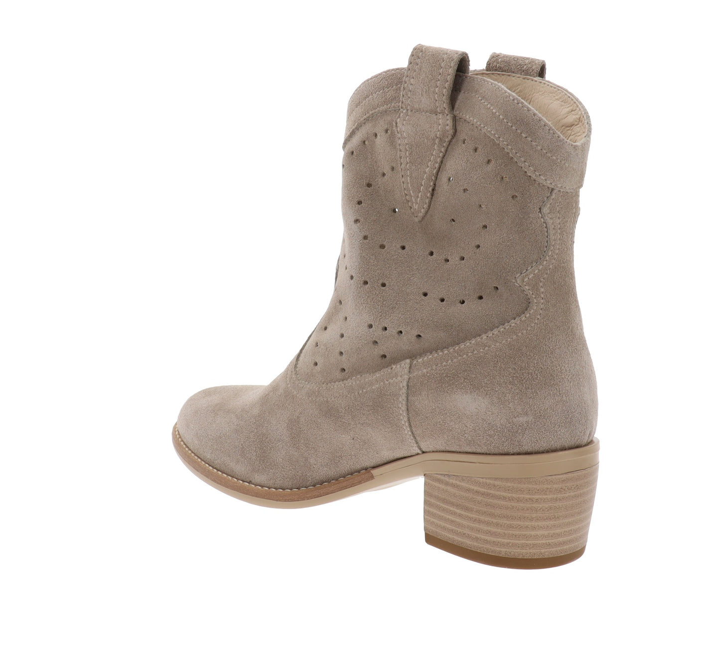 E615121D-35Tortora,E615121D-36Tortora,E615121D-37Tortora,E615121D-38Tortora,E615121D-39Tortora,E615121D-40Tortora,E615121D-41Tortora