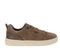 Turtledove