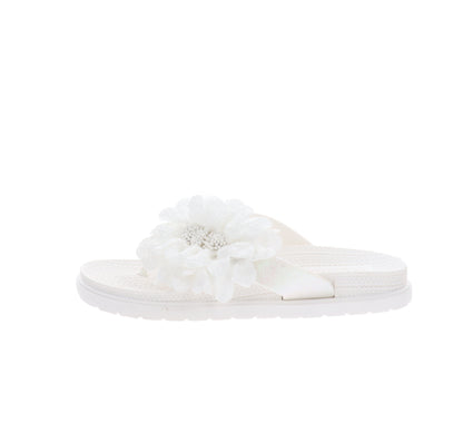 SSW419222-36Bianco,SSW419222-37Bianco,SSW419222-38Bianco,SSW419222-39Bianco,SSW419222-40Bianco,SSW419222-41Bianco