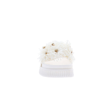 SSW519N38-36Bianco,SSW519N38-37Bianco,SSW519N38-38Bianco,SSW519N38-39Bianco,SSW519N38-40Bianco,SSW519N38-41Bianco