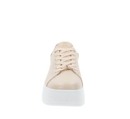 X3415-35Beige,X3415-36Beige,X3415-37Beige,X3415-38Beige,X3415-39Beige,X3415-40Beige,X3415-41Beige